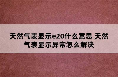 天然气表显示e20什么意思 天然气表显示异常怎么解决